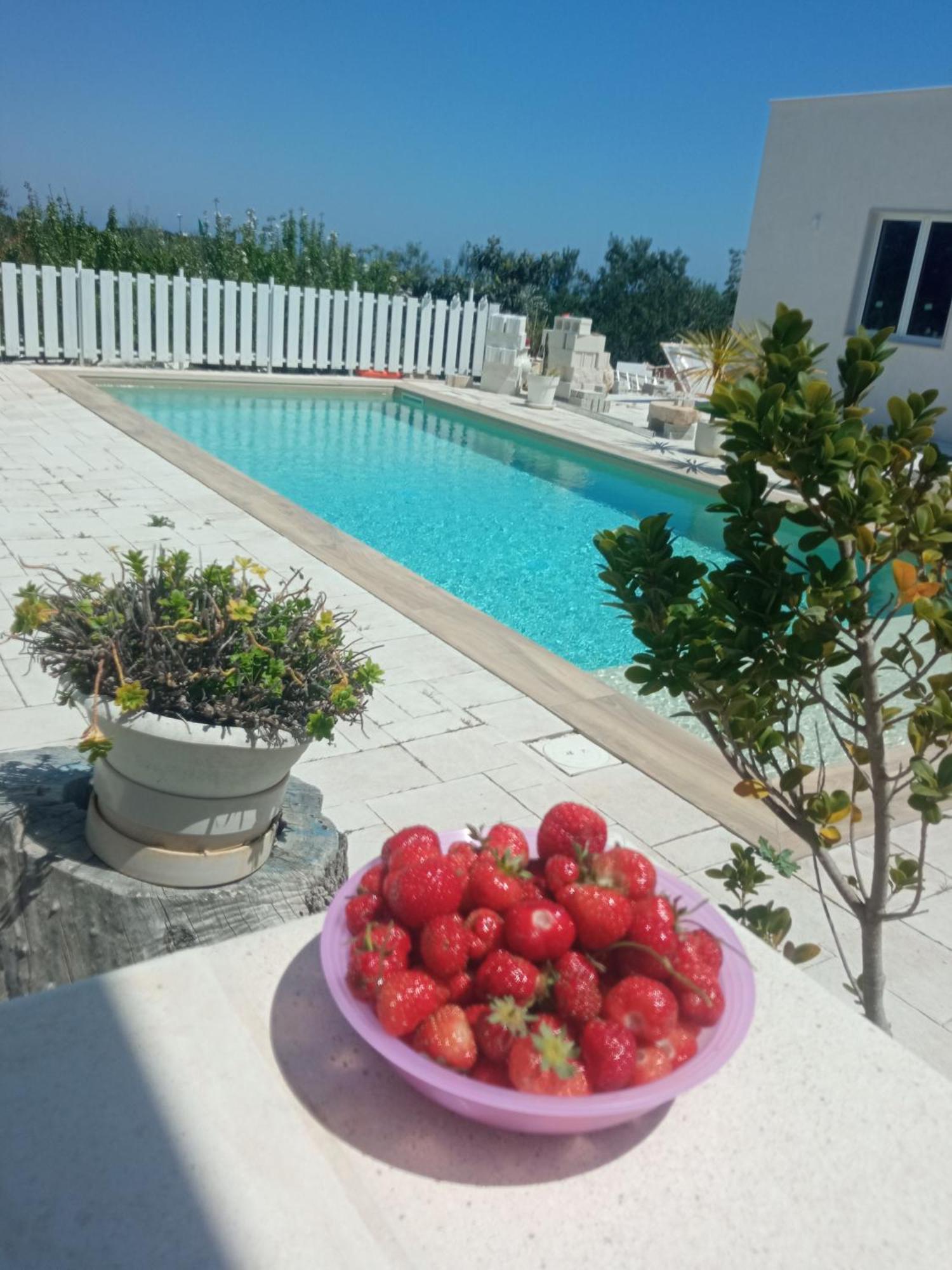 Villa Vale&Frans à Monopoli Extérieur photo
